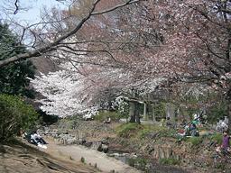 ��̓������̂͂���
