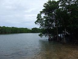 �����s0304_5