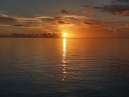 �o���[