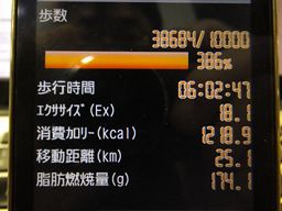 �ō��L�^�Ȃ�