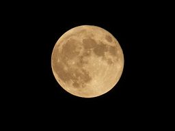 �m���ɗǂ��������C������