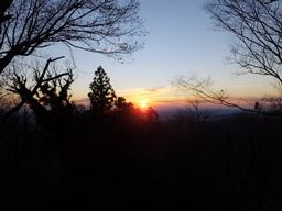�o���[