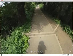 �����Ă݂�