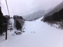 ����邾�����Ă����ł���