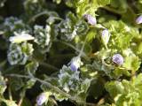 �I�I�C�k�m�t�O��