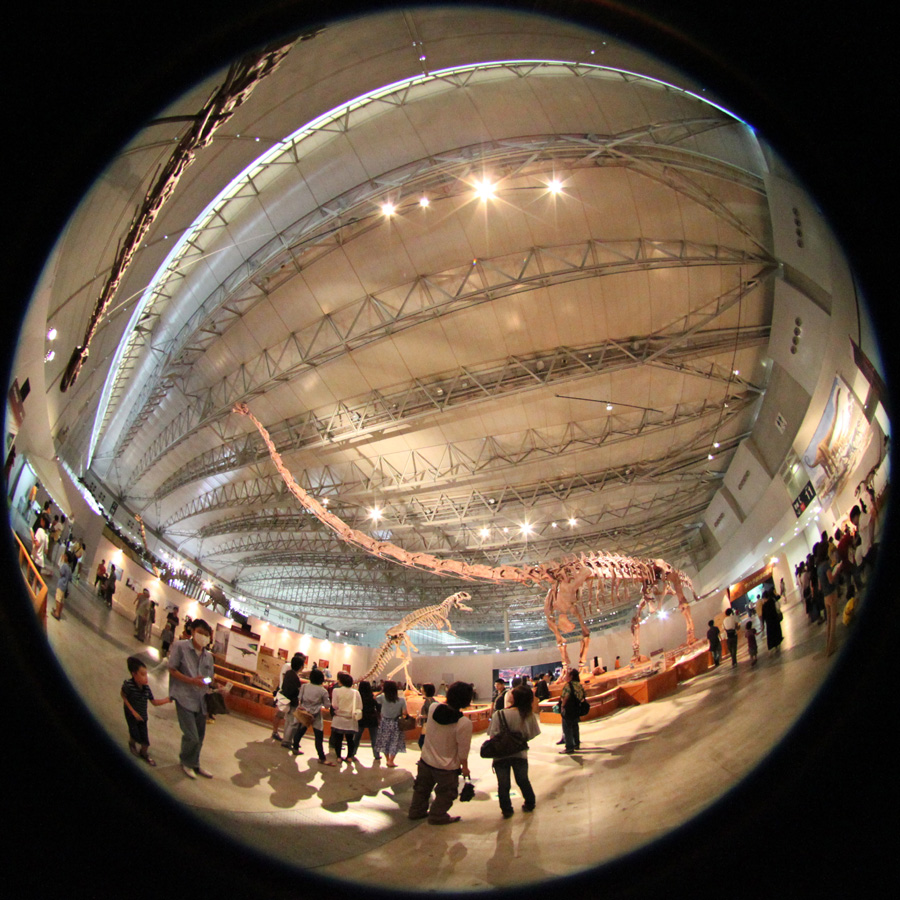original_fisheye