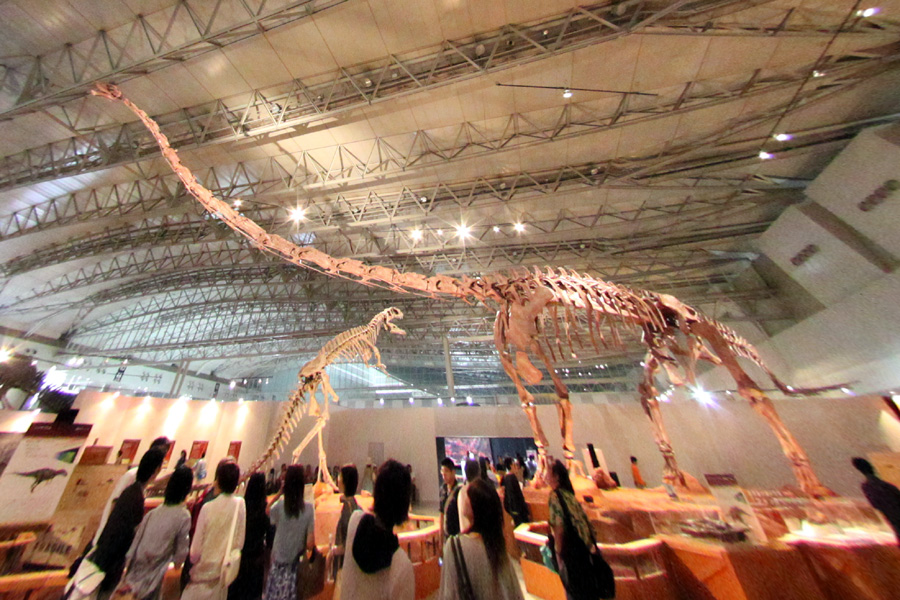 fisheye_converted_cropped