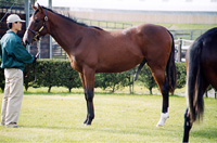 GP200001s.jpg