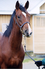 GP200002s.jpg