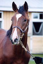 GP200004s.jpg