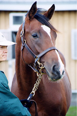 GP200006s.jpg