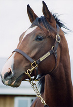 GP200008s.jpg