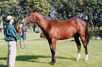 GP200011s.jpg