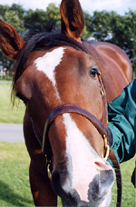 GP200012s.jpg