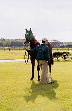 GP200014s.jpg