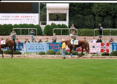 991205tare.JPG