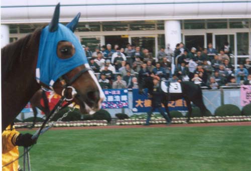 99122504.jpg