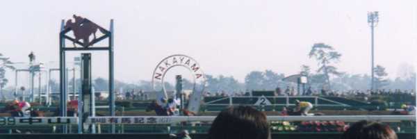 99122506.jpg
