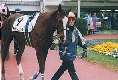 00022005.JPG