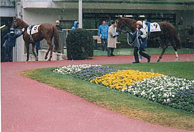 00022006.JPG