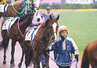 2000.2.20.Nuki01.jpg