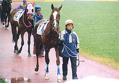 2000.2.20.Nuki02.jpg