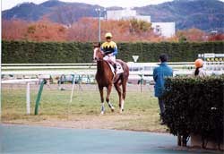 daisy09s.jpg