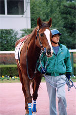 daisy06s.jpg