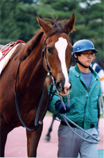 daisy09s.jpg