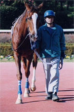 daisy01s.jpg
