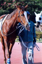 daisy07s.jpg