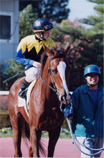 daisy10s.jpg