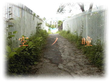 - - - �� �m �� - - -