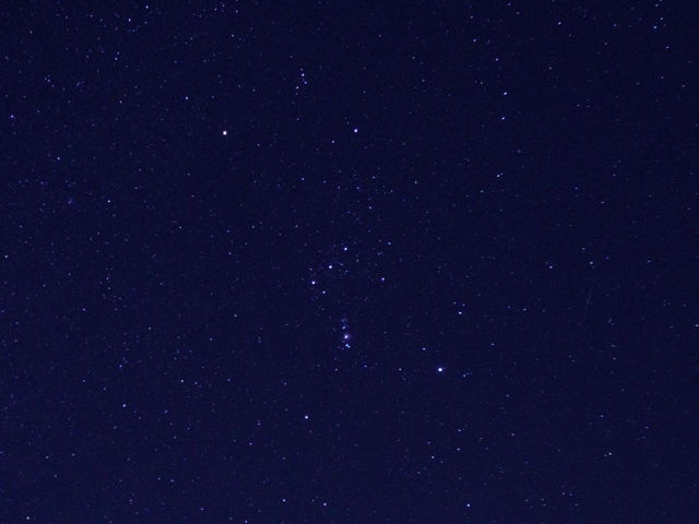 v킸