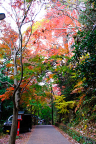 �����A�����������˂��B