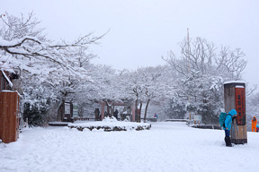 �}�W�����[