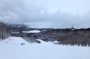 ���N���s����