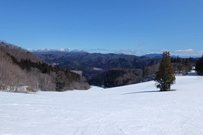 �܂�����[