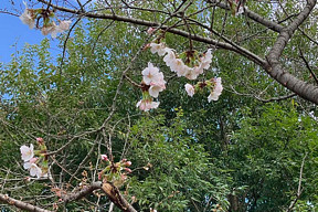 �炢���[�[�I