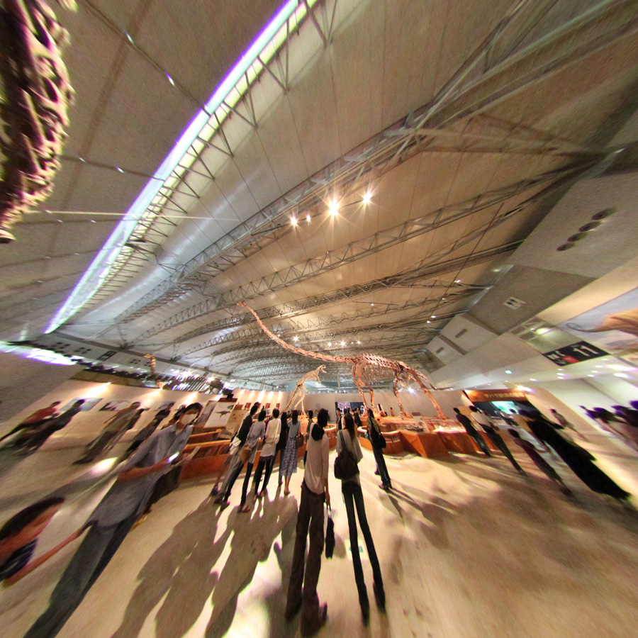 fisheye_converted