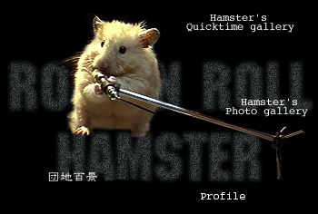 Welcome to ROCK'N ROLL HAMSTER!!!