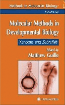 xenopus�{6
