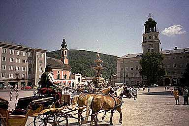 ���[�c�@���g�L��