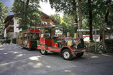 �P�[�j�b�q�΂̘H�ʎ�